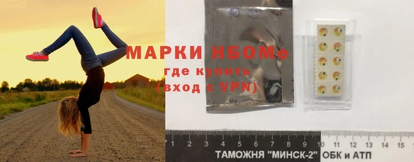 стаф Зерноград