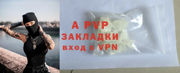 стаф Зерноград
