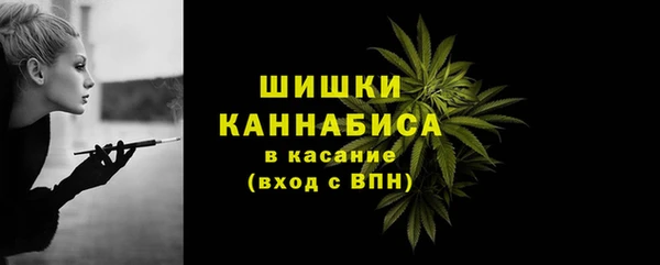 стаф Зерноград