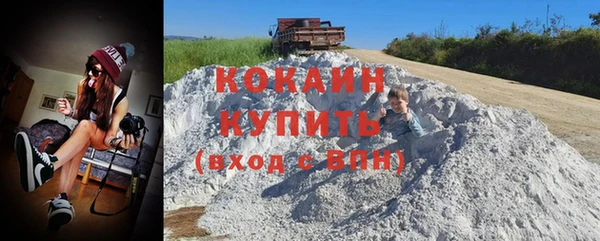 стаф Зерноград