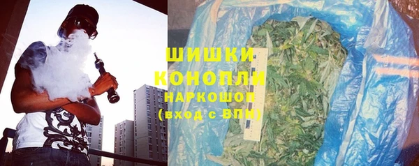 стаф Зерноград