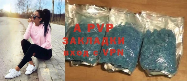 стаф Зерноград